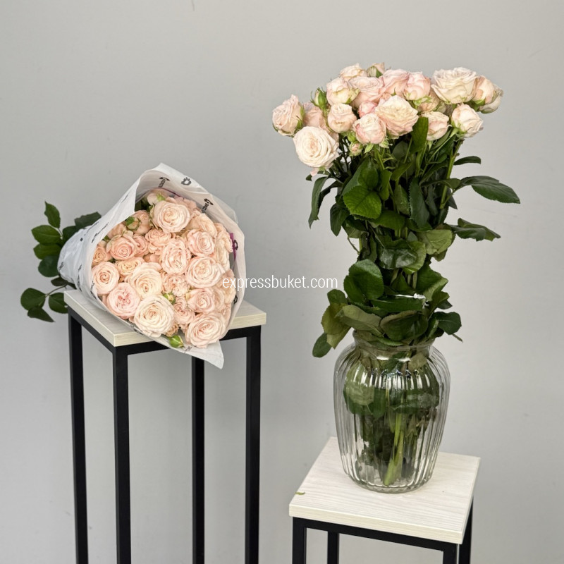 Розы Бомбастик, 10 шт