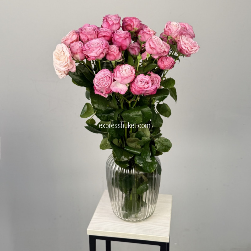 Розы Леди Бомбастик, 10 шт